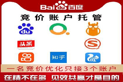 从小白到高手：百度竞价赚钱全记录